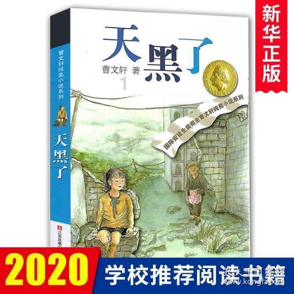 鹰击长空2
